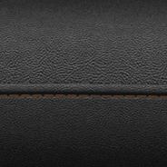 Leather-faced with perforated inserts – Black with Sepia accent stitching