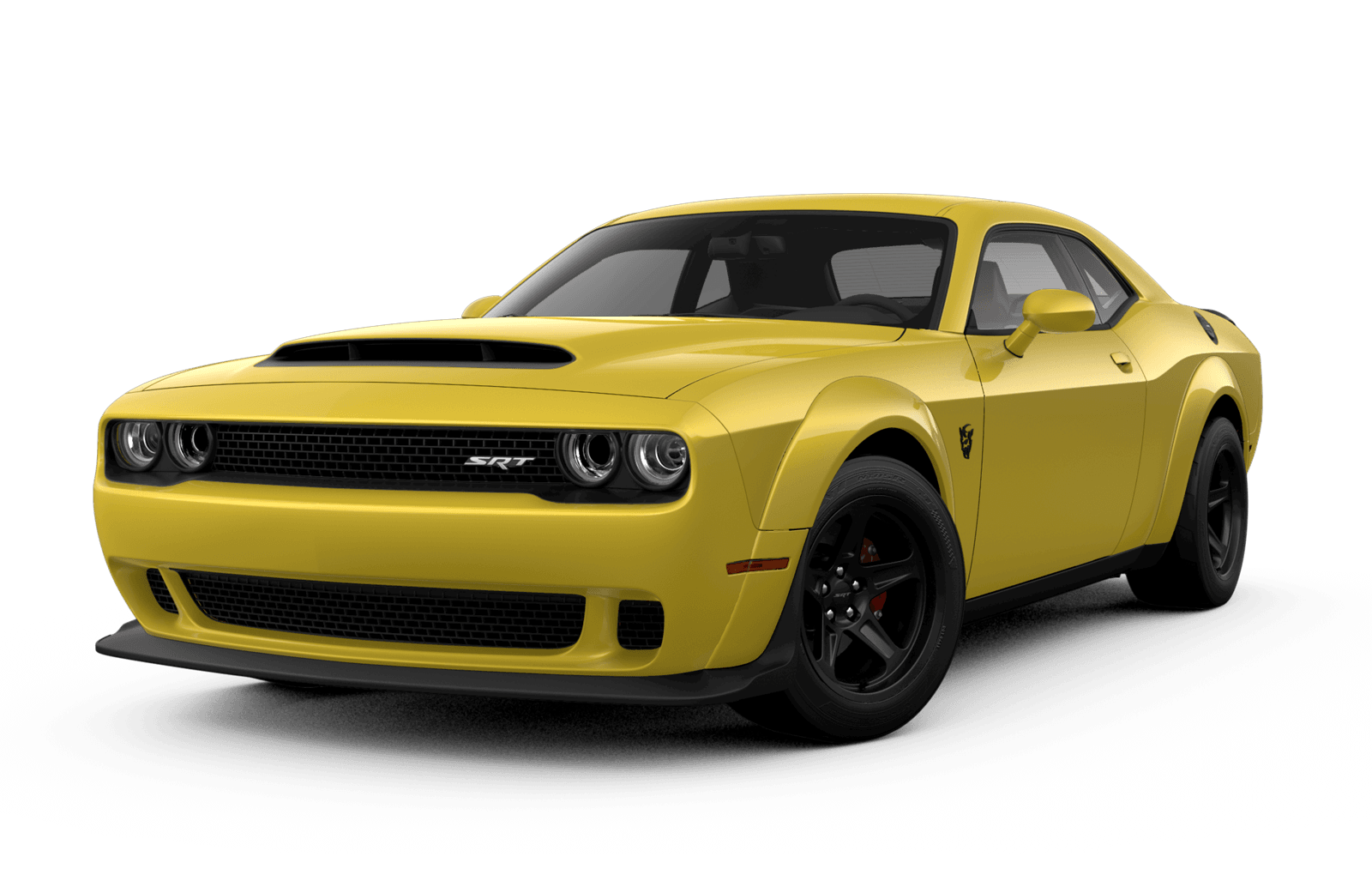Guêpe jaune