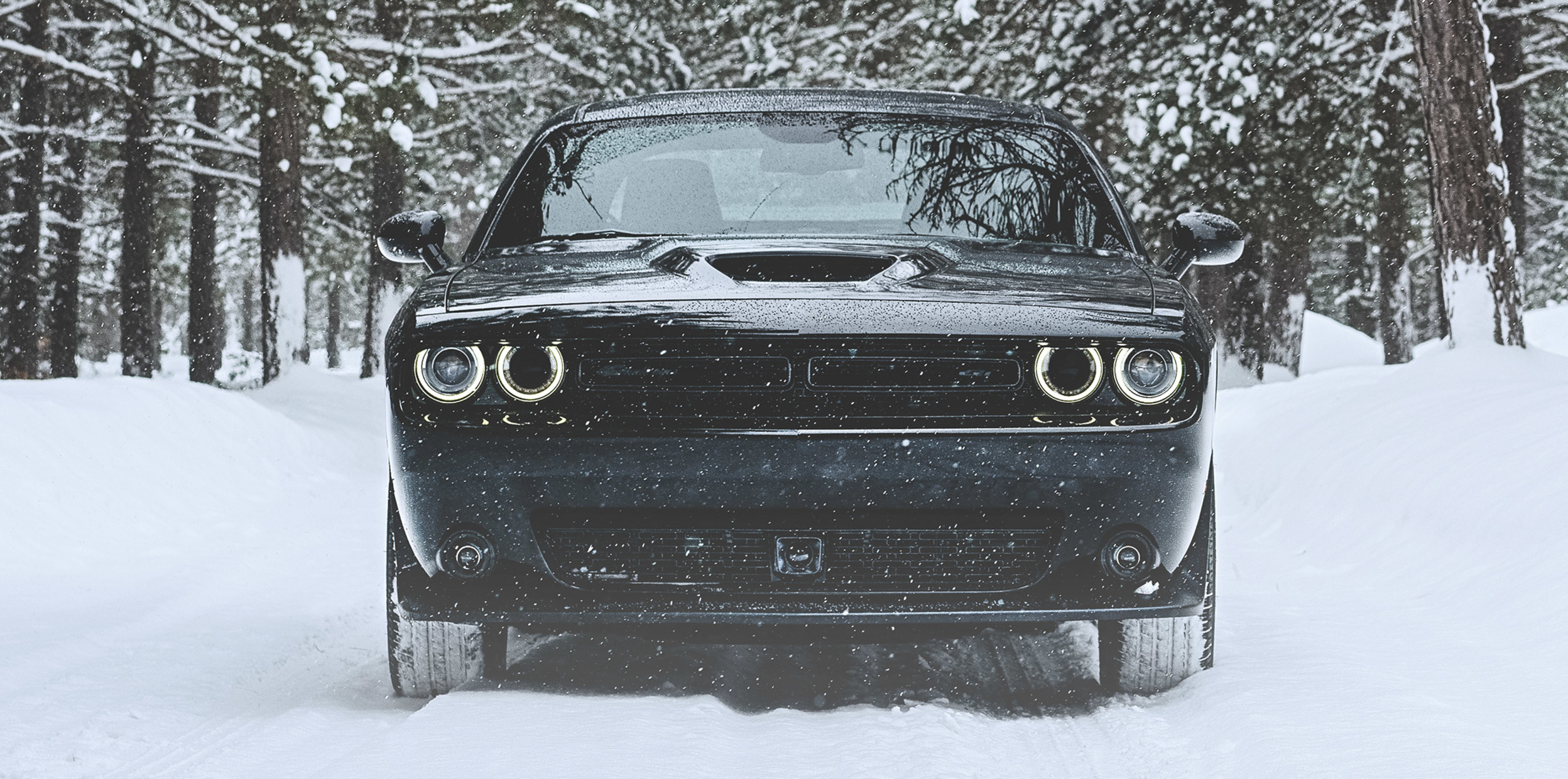 Front-facing shot of a black Dodge Challenger surrounded by snow-covered trees.