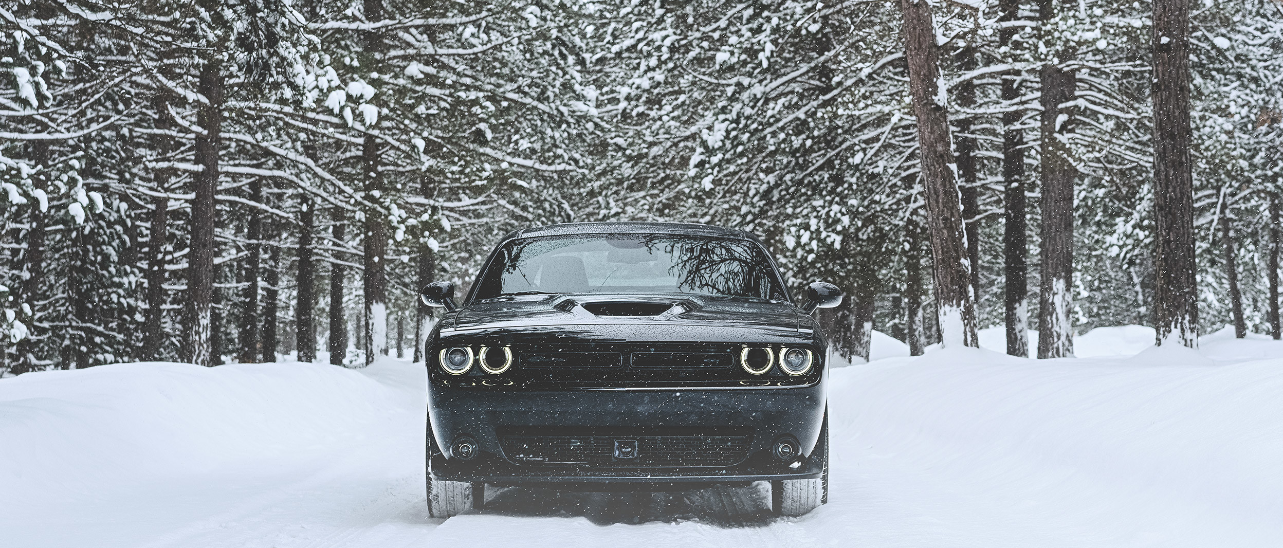 Plan de face d’une Dodge Challenger noire entourée d’arbres enneigés.