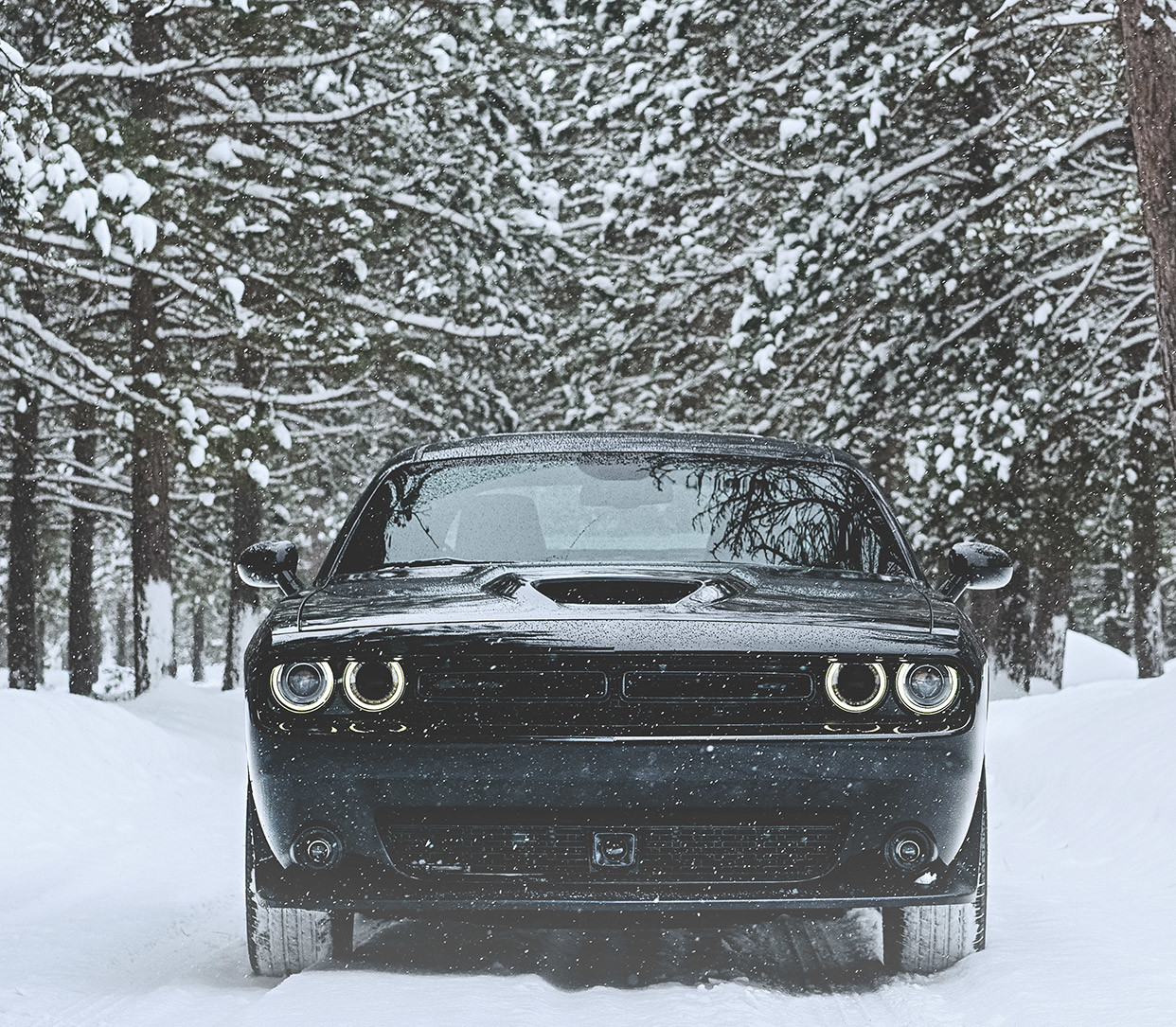 Plan de face d’une Dodge Challenger noire entourée d’arbres enneigés.