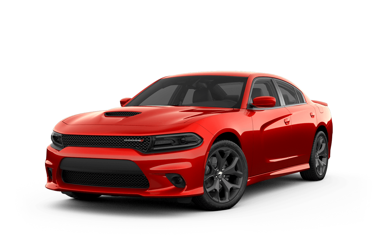 TorRed