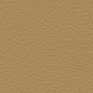 Leather-faced - Tan with Dark Brown accent stitching
