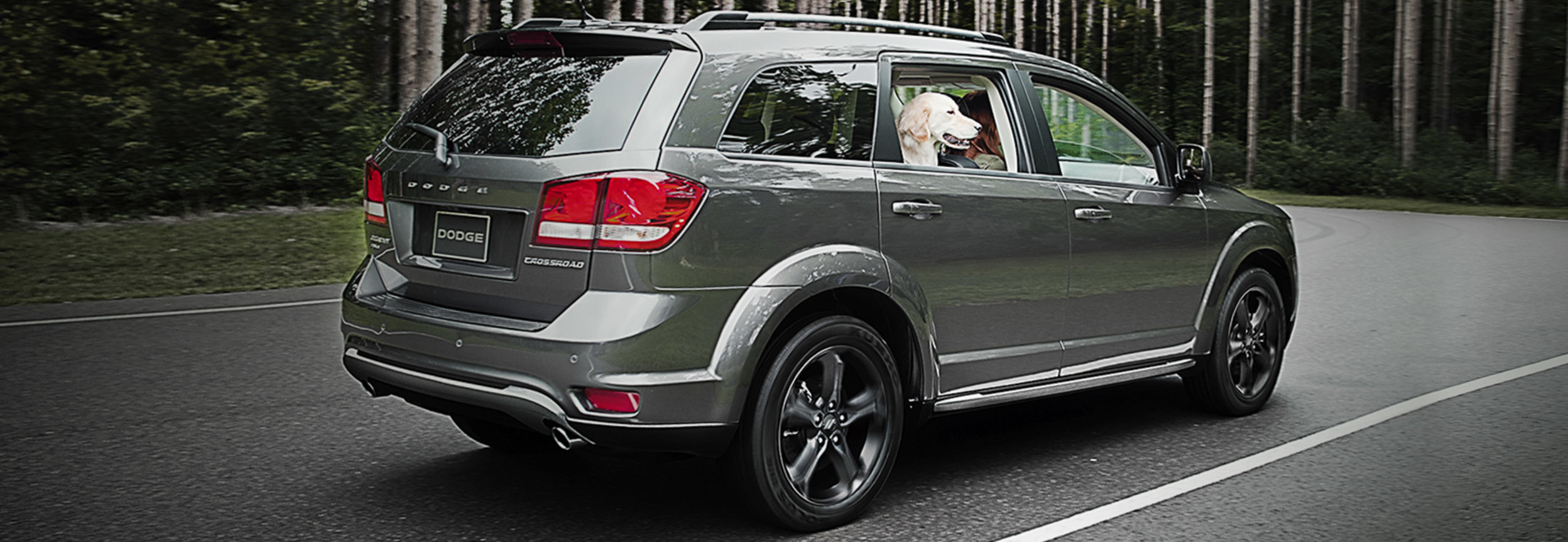 Side view of a grey 2020 Dodge Journey with a dog sitting in the backseat