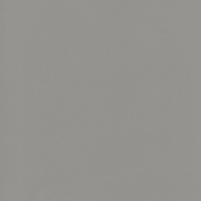 Leather-faced - Carrera Grey