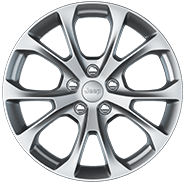 20‑inch Platinum aluminum
