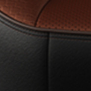 Premium Leather with Perforated Inserts - Black / Cattle Tan