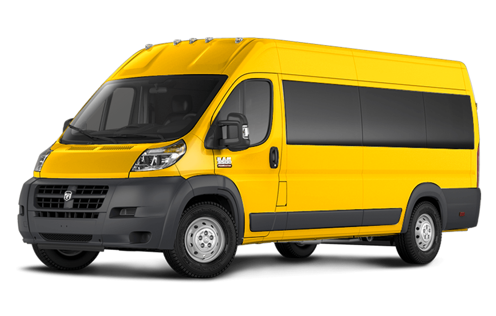 Broom Yellow