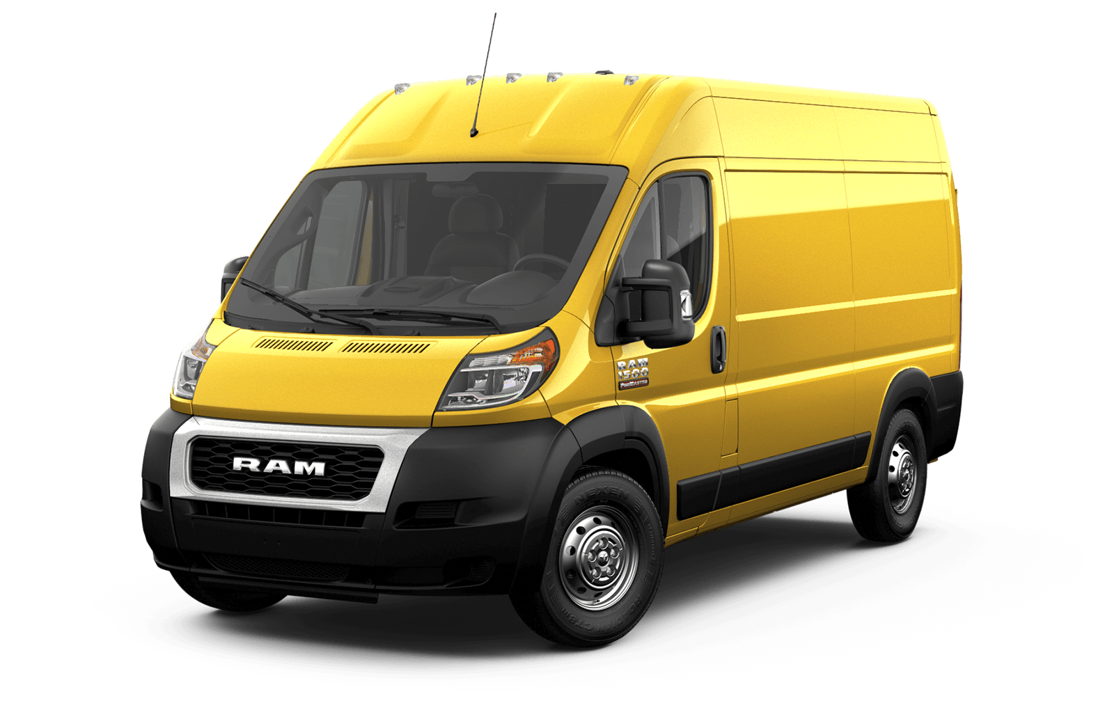 Broom Yellow