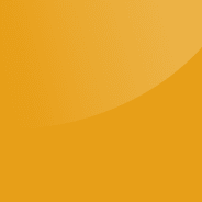 School Bus Yellow