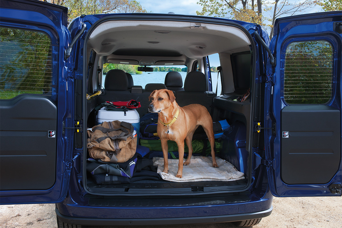 2019 Ram ProMaster City rear exterior view of cargo area with open doors, a dog stands close the edge