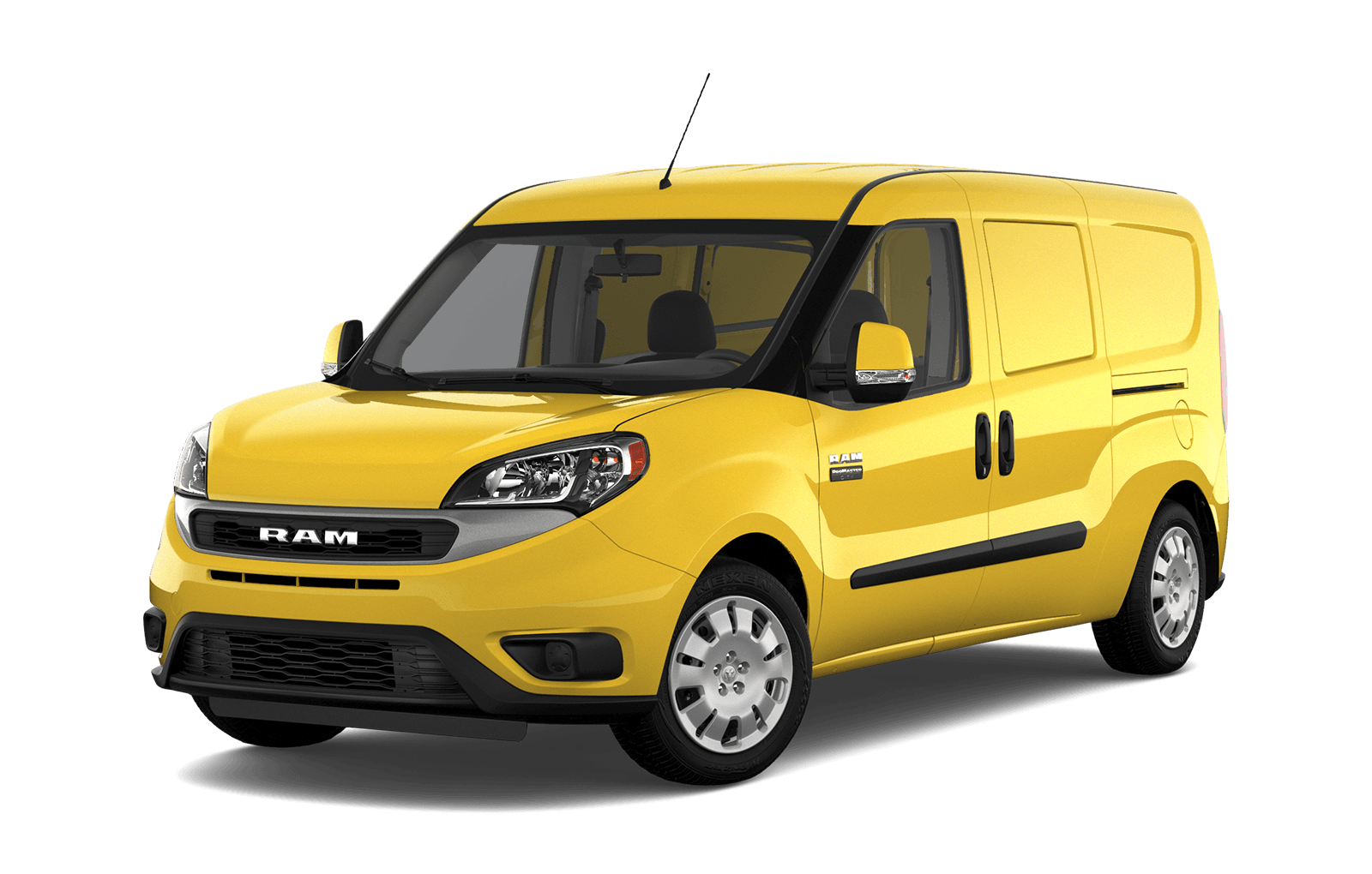 Broom Yellow