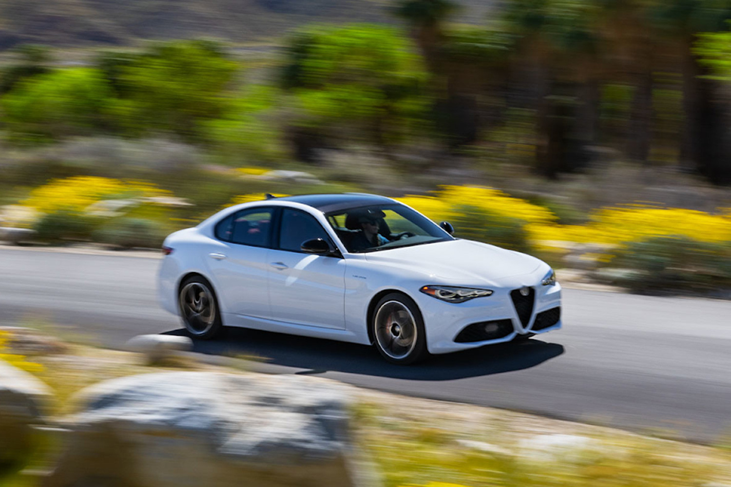 Une Alfa Romeo Giulia blanche 2025 traversant un paysage pittoresque avec des fleurs jaunes vibrantes et une verdure luxuriante.