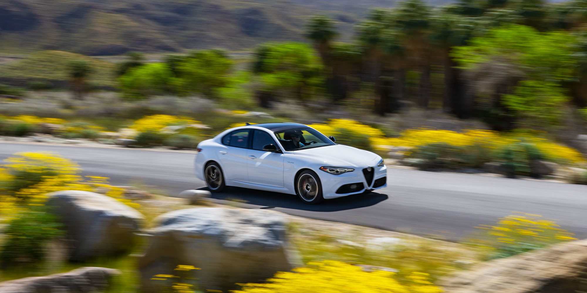 2025 Alfa White Alfa Romeo Giulia driving on a road with blurred greenery and yellow flowers in the background.