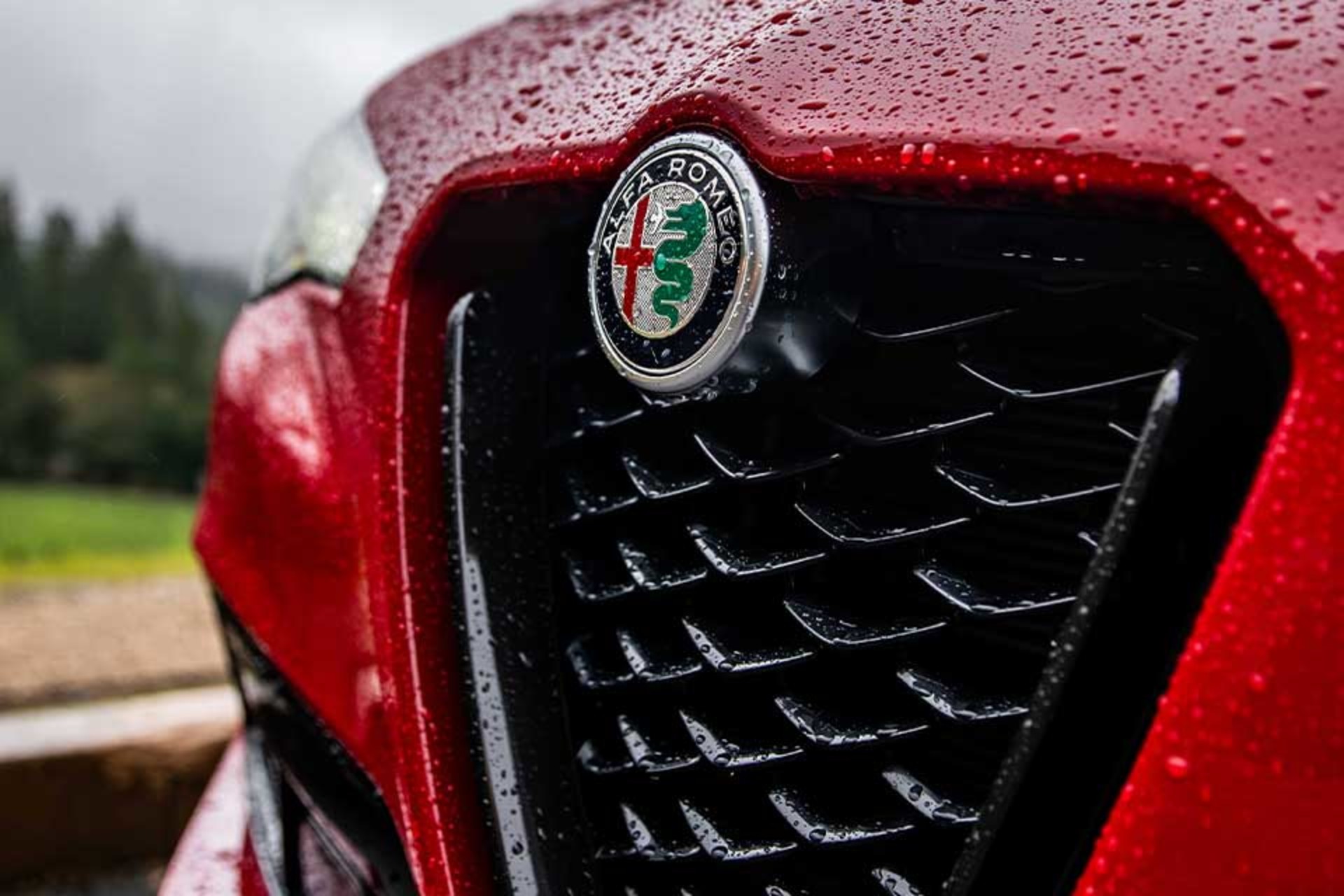 Close-up of the 2026 Alfa Romeo Stelvio's front grille featuring a red finish and rain droplets.