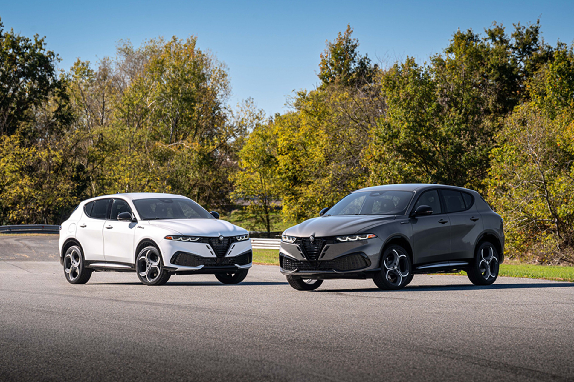 Deux Alfa Romeo Tonale à essence 2026, un blanc et l'autre gris, garés sur une route bordée d'arbres, mettant en valeur leurs designs élégants et stylés.