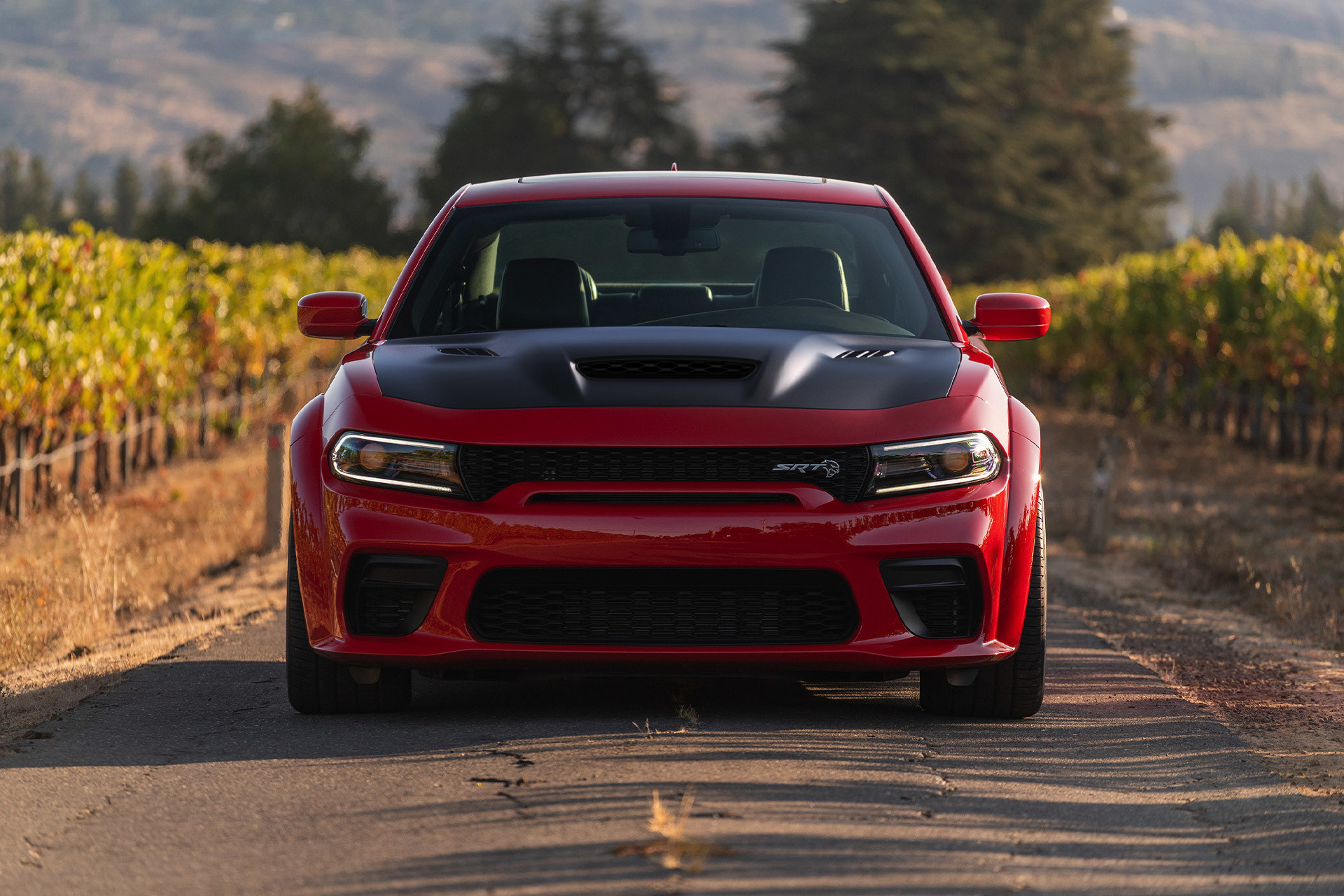 A red 2022 Dodge Charger parked on a farm field 